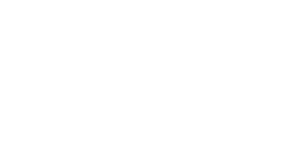 Liv King Size Logo